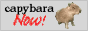 button that reads 'capybara now!'
